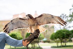 The Ritz-Carlton Orlando, Grande Lakes