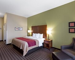 Comfort Inn & Suites Fayetteville - University Area