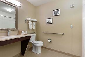 Comfort Inn & Suites Fayetteville - University Area