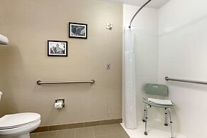 Comfort Inn & Suites Fayetteville - University Area