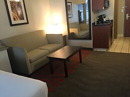 Holiday Inn Express Hotel & Suites Pittsburgh-South Side by IHG