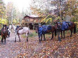 Algonquin Eco-Lodge