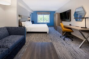 Holiday Inn Express Hotel & Suites New Tampa I-75 by IHG