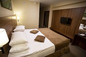 Izmailovo Alfa Hotel