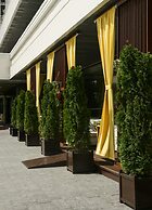 Izmailovo Alfa Hotel