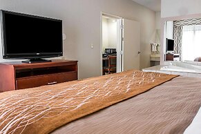 Comfort Inn & Suites University South