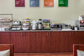 Comfort Inn & Suites University South