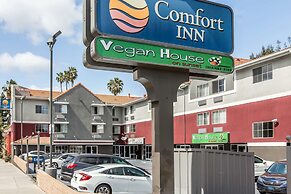 Comfort Inn Los Angeles near Hollywood