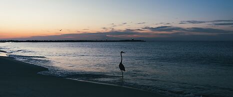 Perdido Beach Resort