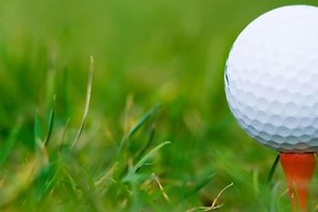 Best Western Plus Hovell Tree Inn