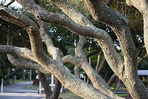 Atlantic Beach Resort, a Ramada by Wyndham