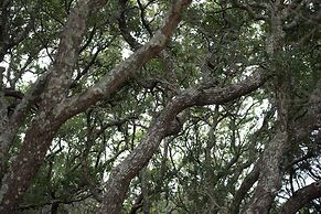 Atlantic Beach Resort, a Ramada by Wyndham