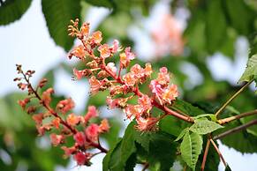 Albergo Residence Italia