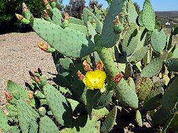 Tombstone Grand Hotel, a Baymont by Wyndham