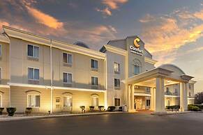 Comfort Inn And Suites