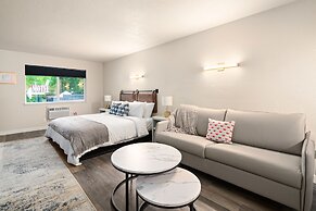 Hotel McCoy - Art, Libations, Pool Society