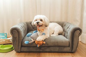 Comfort Suites Londrina