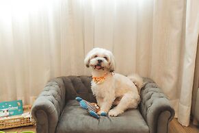 Comfort Suites Londrina