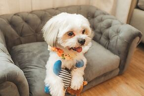 Comfort Suites Londrina