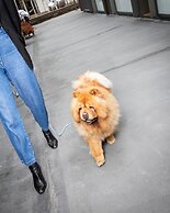 Greulich Design & Boutique Hotel