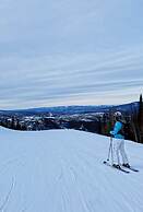 The Timberline Condominiums