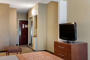 Comfort Inn & Suites Suwanee - Sugarloaf