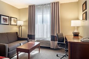 Comfort Inn & Suites Suwanee - Sugarloaf
