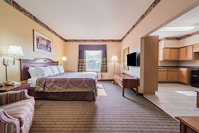 Super 8 by Wyndham Fort Worth Stockyards