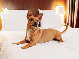 Mercure Roma Piazza Bologna