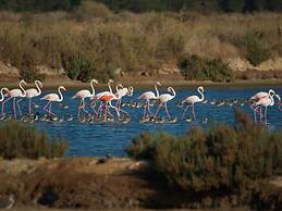 Ria Park Hotel & Spa