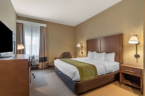 Comfort Inn Warrensburg Station