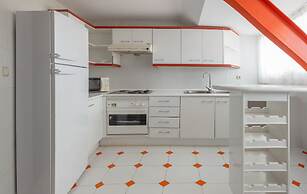 Magic Tropical Splash