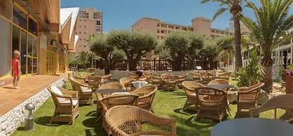 Magic Tropical Splash