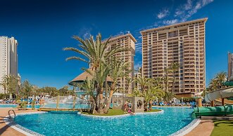 Magic Tropical Splash