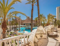 Magic Tropical Splash