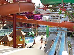 Magic Aqua Rock Gardens