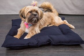 INNSiDE By Meliá São Paulo Itaim