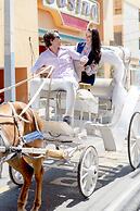 Centro Plaza Hodelpa