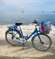 Banana Bay Resort & Marina