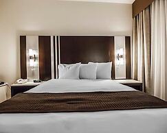 Quality Hotel Airport South