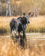 Four Seasons Resort Jackson Hole