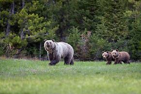 Four Seasons Resort Jackson Hole