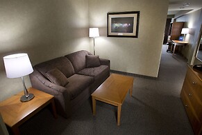 Oakes Hotel Overlooking the Falls