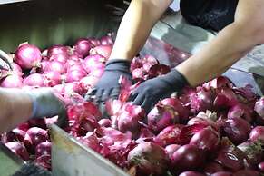 La Bussola Hotel Restaurant