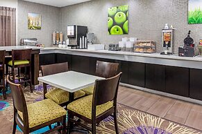 La Quinta Inn & Suites by Wyndham New Braunfels