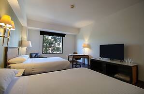 Turotel Morelia