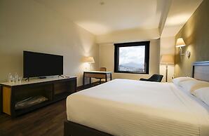 Turotel Morelia