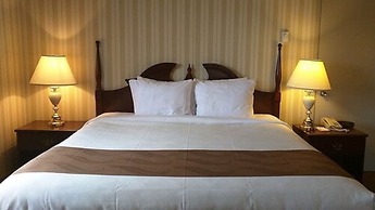 Quality Hotel & Suites