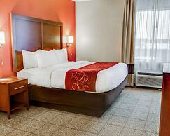 Comfort Suites Tyler South