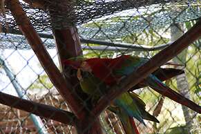 Playa Blanca Beach Resort - All Inclusive